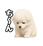 日常会話verポメラニアンの子犬（個別スタンプ：24）