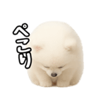日常会話verポメラニアンの子犬（個別スタンプ：28）