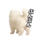 日常会話verポメラニアンの子犬（個別スタンプ：30）