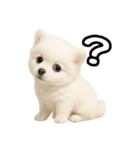 日常会話verポメラニアンの子犬（個別スタンプ：32）