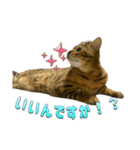 おちょらスタンプ No.3（個別スタンプ：4）