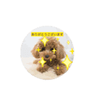 あいさつ犬！！（個別スタンプ：2）