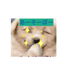 あいさつ犬！！（個別スタンプ：5）