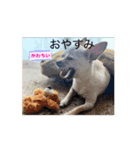 あいさつ犬！！（個別スタンプ：7）