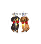 あいさつ犬！！（個別スタンプ：8）