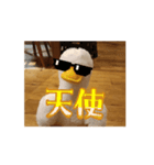 使うことのないアヒルなんです（個別スタンプ：1）