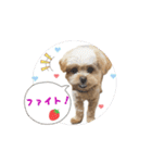 ❤️まいにちビビちゃん2（個別スタンプ：1）