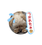 ❤️まいにちビビちゃん2（個別スタンプ：2）