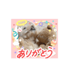 ❤️まいにちビビちゃん2（個別スタンプ：3）