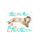 ❤️まいにちビビちゃん2（個別スタンプ：8）