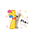 ❤️まいにちビビちゃん2（個別スタンプ：12）