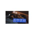 あいまりのかわいすぎ（個別スタンプ：2）
