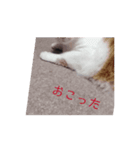 あいまりのかわいすぎ（個別スタンプ：8）