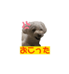 ららここもんむぎのスタンプ（個別スタンプ：5）