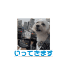 ららここもんむぎのスタンプ（個別スタンプ：7）