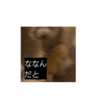 田舎のいぬの日常（個別スタンプ：8）