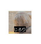 田舎のいぬの日常（個別スタンプ：10）