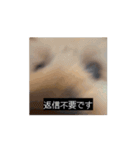 田舎のいぬの日常（個別スタンプ：13）