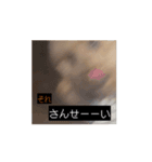 田舎のいぬの日常（個別スタンプ：14）