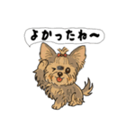 アクションk-gigi25（個別スタンプ：3）
