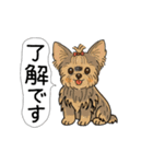 アクションk-gigi25（個別スタンプ：4）