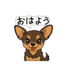 アクションk-gigi25（個別スタンプ：11）