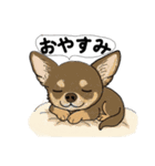 アクションk-gigi25（個別スタンプ：12）