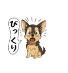 アクションk-gigi25（個別スタンプ：16）