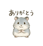 我が家のジャンガリアン①（個別スタンプ：1）