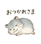 我が家のジャンガリアン①（個別スタンプ：2）