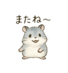 我が家のジャンガリアン①（個別スタンプ：4）