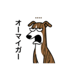 名前入りウィペットブリンドル（個別スタンプ：4）