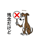 名前入りウィペットブリンドル（個別スタンプ：6）