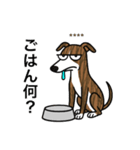 名前入りウィペットブリンドル（個別スタンプ：14）