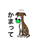 名前入りウィペットブリンドル（個別スタンプ：18）