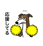 名前入りウィペットブリンドル（個別スタンプ：21）
