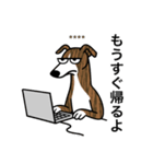 名前入りウィペットブリンドル（個別スタンプ：22）