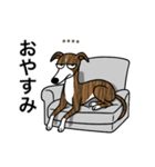 名前入りウィペットブリンドル（個別スタンプ：23）
