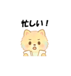 カラフルポメラニアン(通常)（個別スタンプ：2）