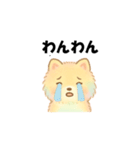 カラフルポメラニアン(通常)（個別スタンプ：3）