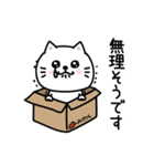 ぷるねこちゃーん大人の長文（個別スタンプ：19）
