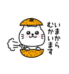 ぷるねこちゃーん大人の長文（個別スタンプ：25）