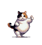 無言で伝える太っちょ三毛猫（個別スタンプ：2）