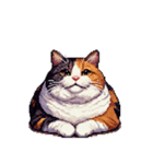 無言で伝える太っちょ三毛猫（個別スタンプ：3）