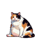 無言で伝える太っちょ三毛猫（個別スタンプ：4）