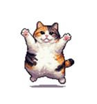 無言で伝える太っちょ三毛猫（個別スタンプ：5）