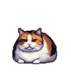 無言で伝える太っちょ三毛猫（個別スタンプ：7）