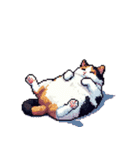 無言で伝える太っちょ三毛猫（個別スタンプ：11）