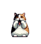 無言で伝える太っちょ三毛猫（個別スタンプ：12）