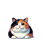 無言で伝える太っちょ三毛猫（個別スタンプ：14）